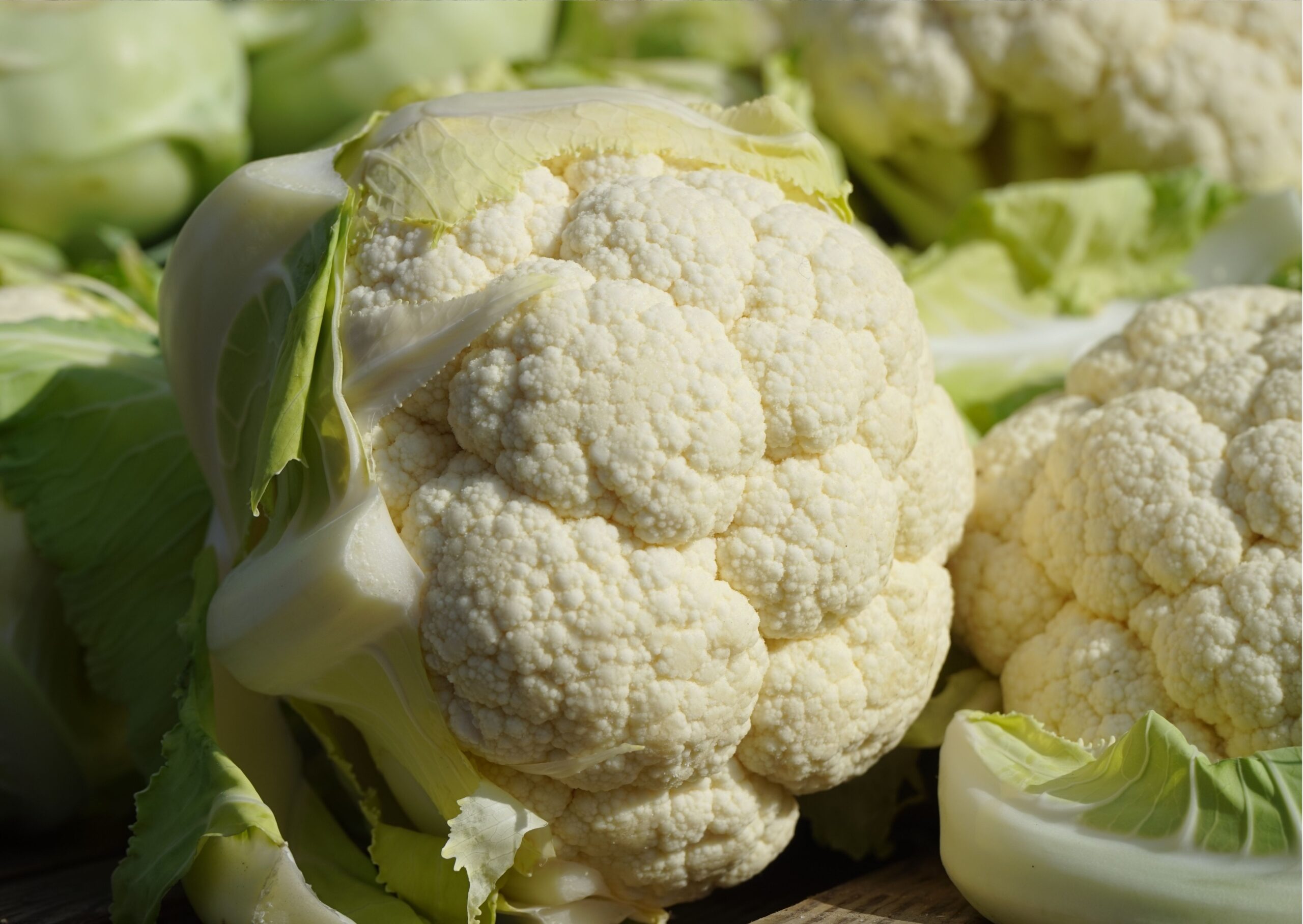 Close Up of Heads of Cauliflower